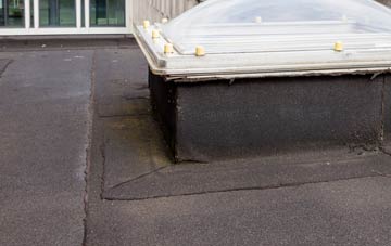 disadvantages of Little Lepton flat roofs