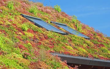 Little Lepton living roof systems