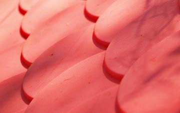 Little Lepton plastic roof costs